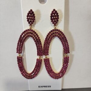 Express Deep Pink Oval Earrings